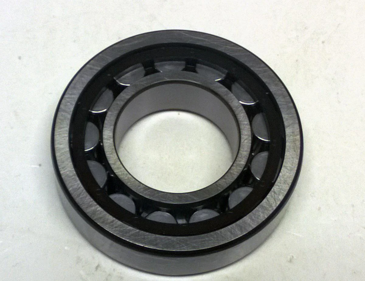 BEARING NJ206 SKF 30x62x16, PROX 23.NJ206ECP-1, ROLLER BEARING, 503.30.082.000, 800.30.019.000 - Image 2