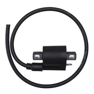 COIL IGNITION DZE 10179-04