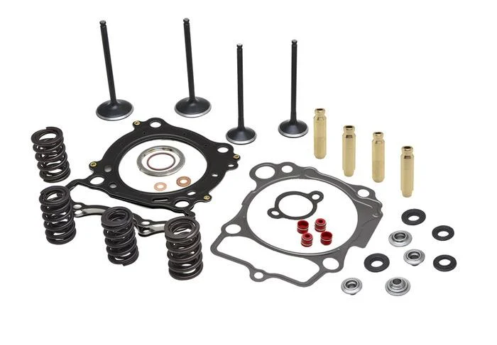 CYLINDER HEAD SERVICE KIT, KIBBLEWHITE 30-33320, SPRINGS VALVES HEAD GASKETS