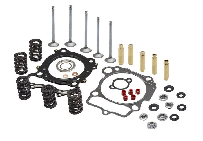 CYLINDER HEAD SERVICE KIT, KIBBLEWHITE 80-82050, SPRINGS VALVES HEAD GASKETS