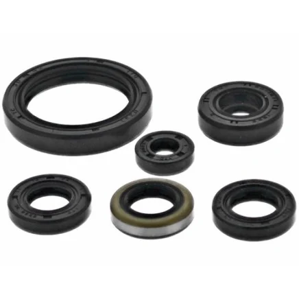 ENGINE OIL SEAL SET KX 450 19-22, PSYCHIC MX-09240 822379 P400250400068 KAWASAKI