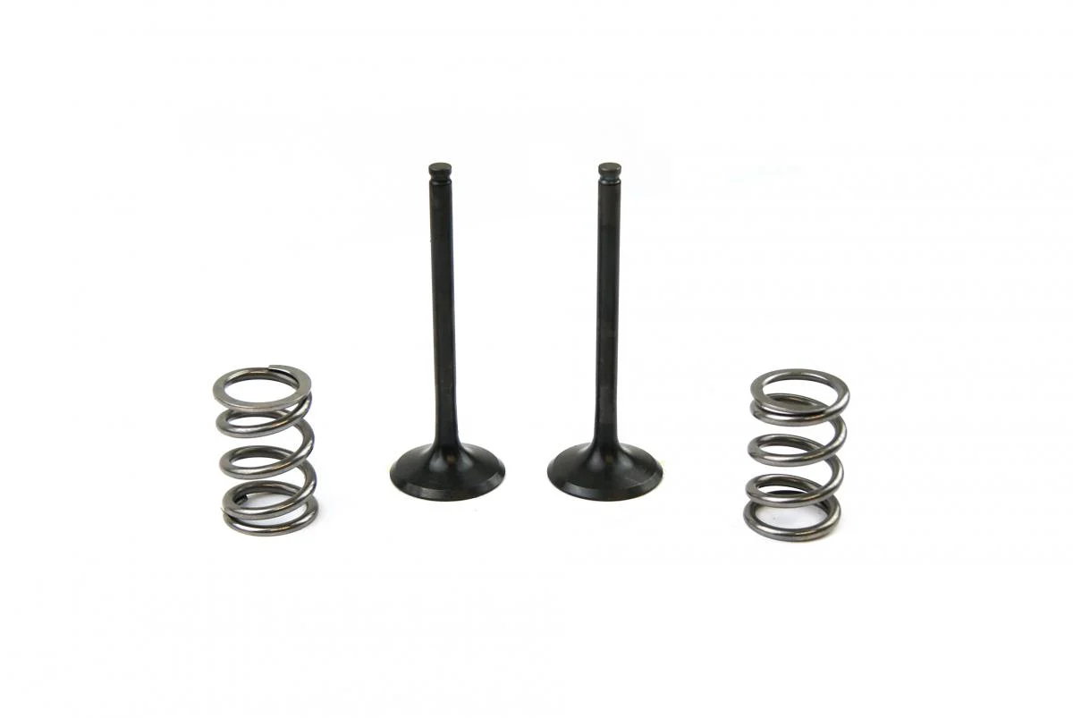 KIT EX VALVE+SPRING LT-R450, PROX 28.SES3406-1 EXHAUST