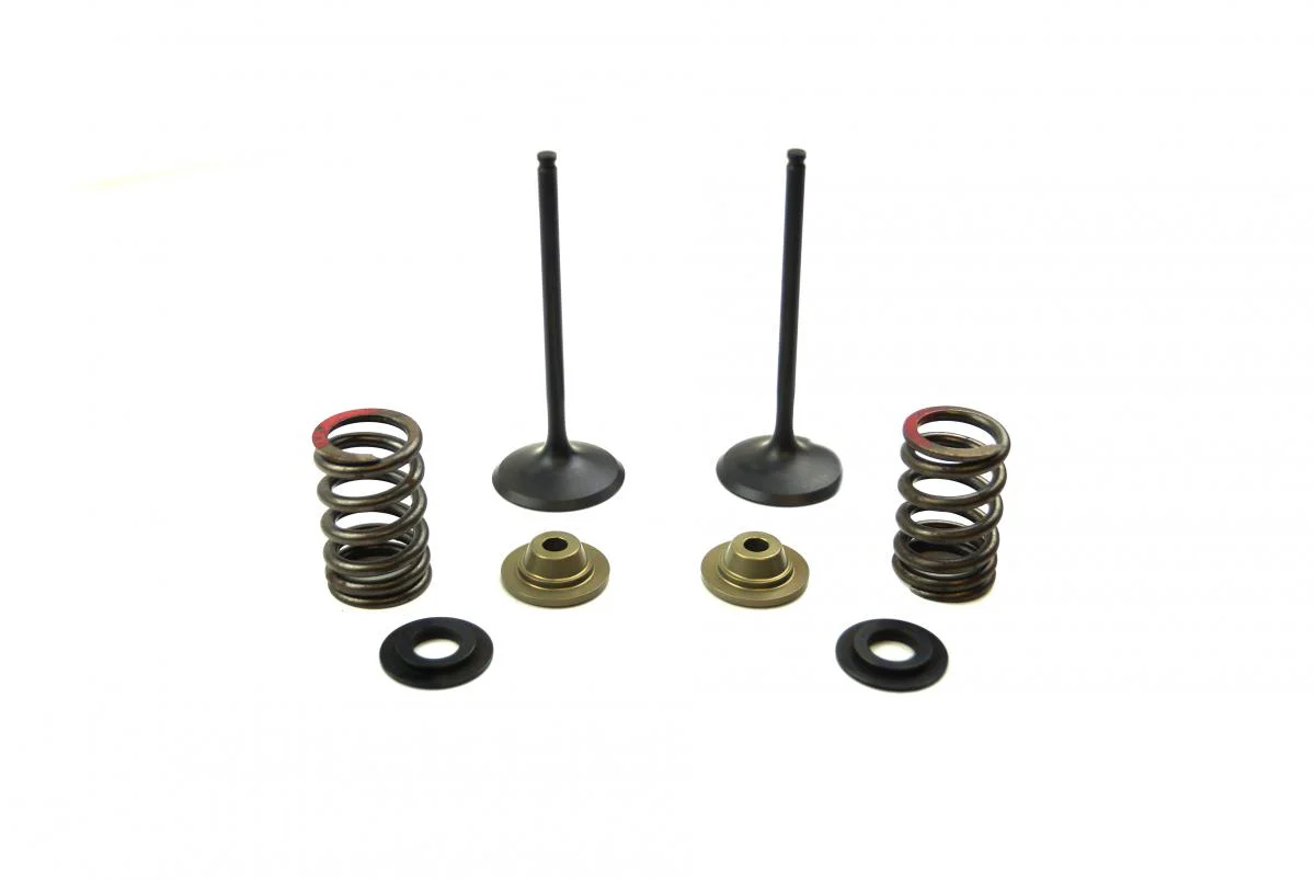VALVE KIT INTAKE KX250F, PSYCHIC XU-09539IK 11-16