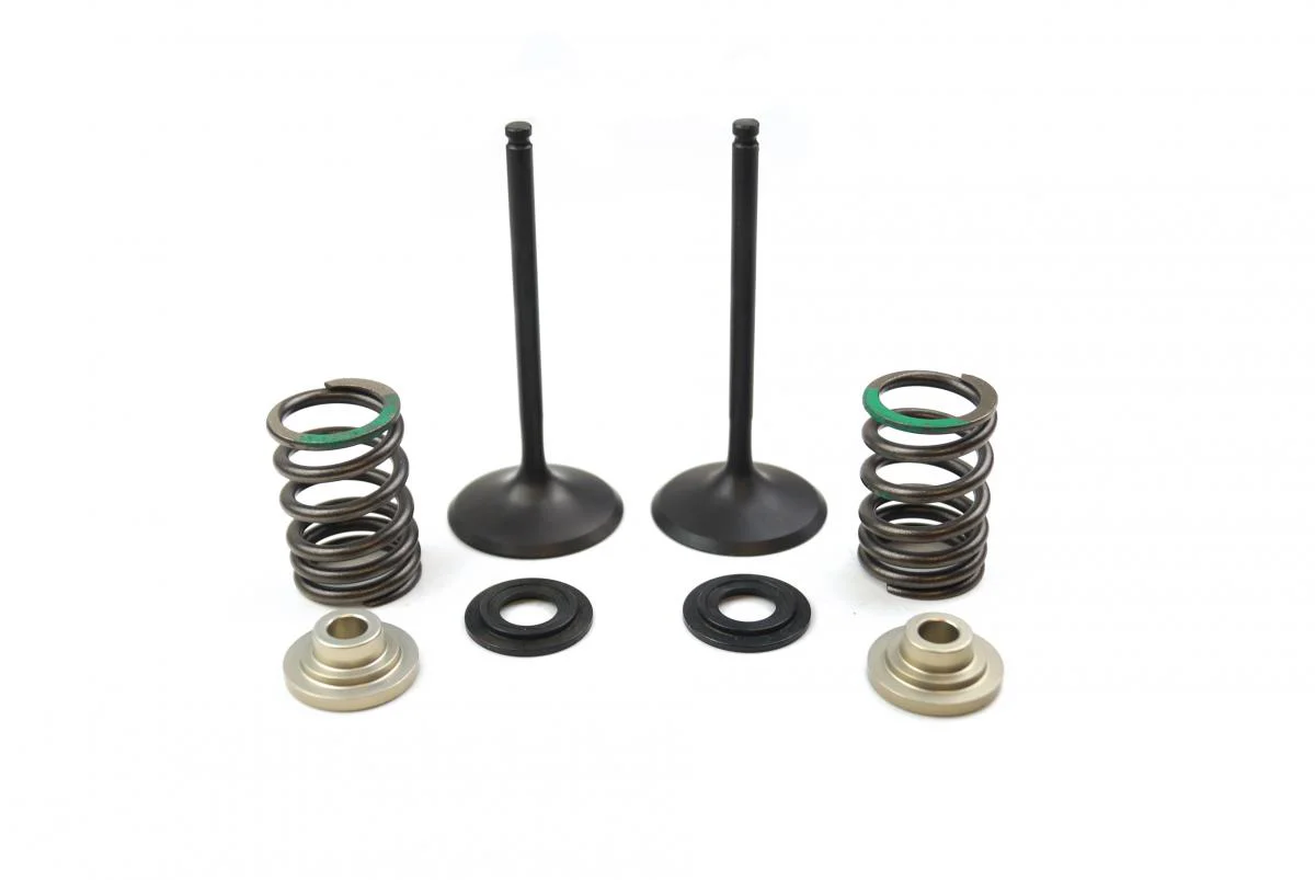 VALVE KIT INTAKE RMZ450 05-06, PSYCHIC XU-09536IK