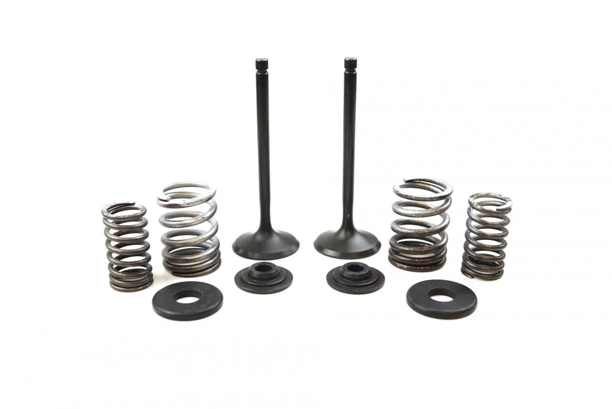 VALVE KIT INTAKE TT-R225, PSYCHIC XU-09518IK XT225