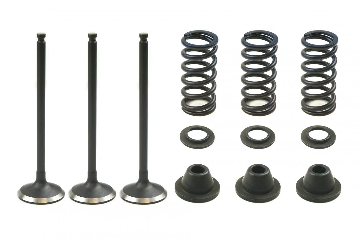 VALVE KIT INTAKE YZF250 GASGAS, PSYCHIC XU-09519IK