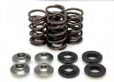 VALVE SPRING KIT KTM250 05-07, KIBBLEWHITE 96-96090 RACING - Image 2