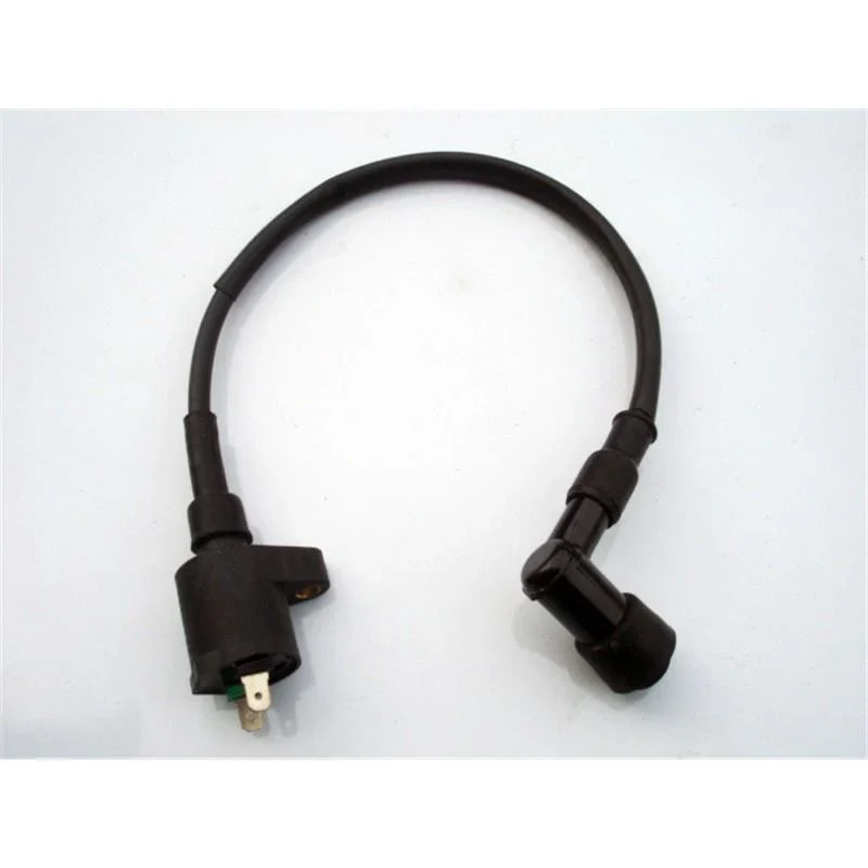 WIRING LOOM LIFAN ENGINE 125-150, CDI, COIL, KILL SWITCH, LOOM, FOR KICK START MODELS - Image 4
