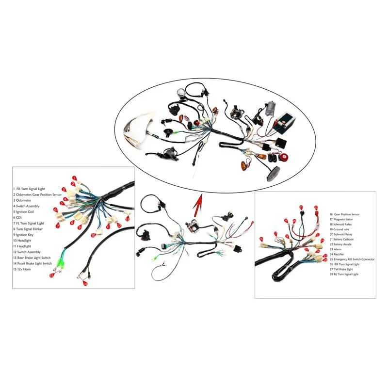 WIRING LOOM LIFAN ENGINE 125-150, ELECTRIC START, LIGHTING LOOM - Image 2